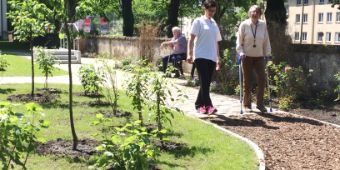 PM Therapiegarten