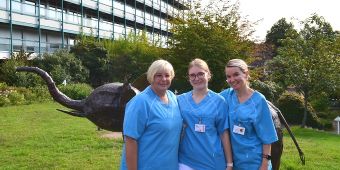Team Elektrophysiologie