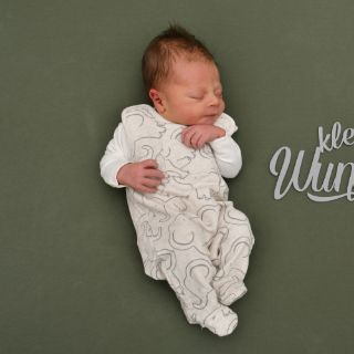 Tamino