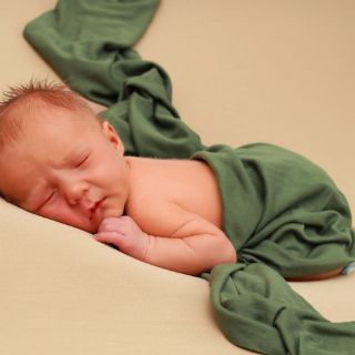 Philipp