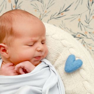 Theodor Finn